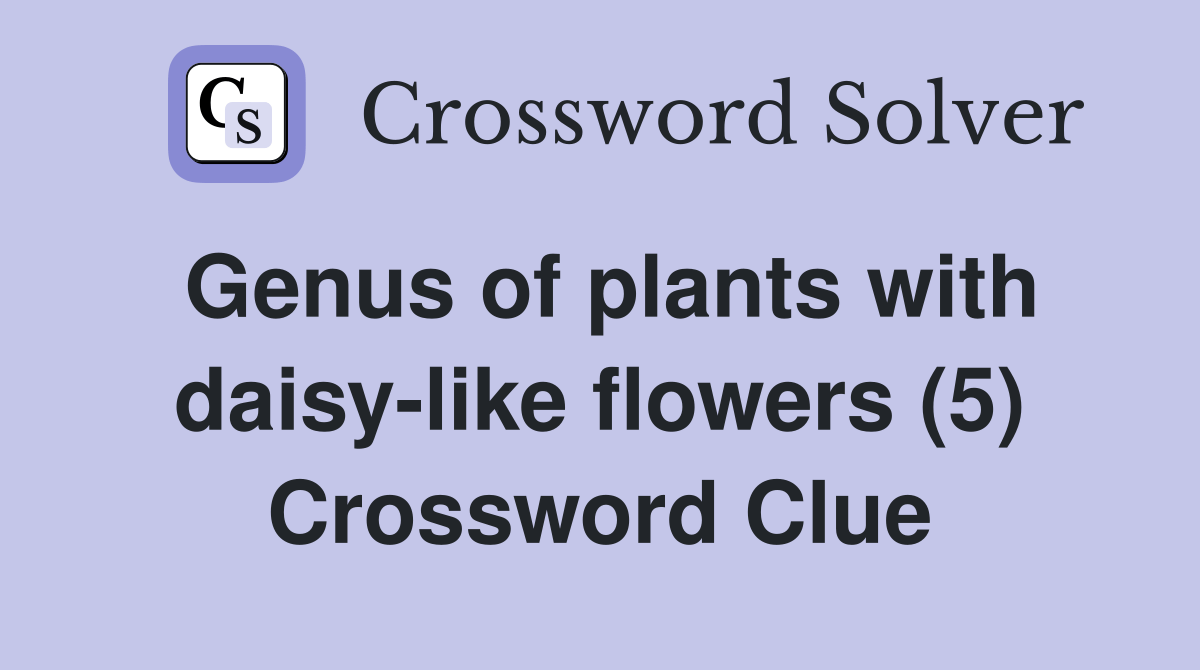 Genus of plants with daisylike flowers (5) Crossword Clue Answers